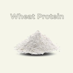 Wheat Protein