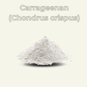 Carrageenan (Chondrus crispus)