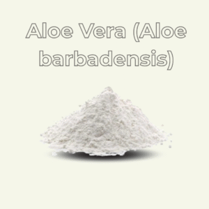 Aloe Vera (Aloe barbadensis)