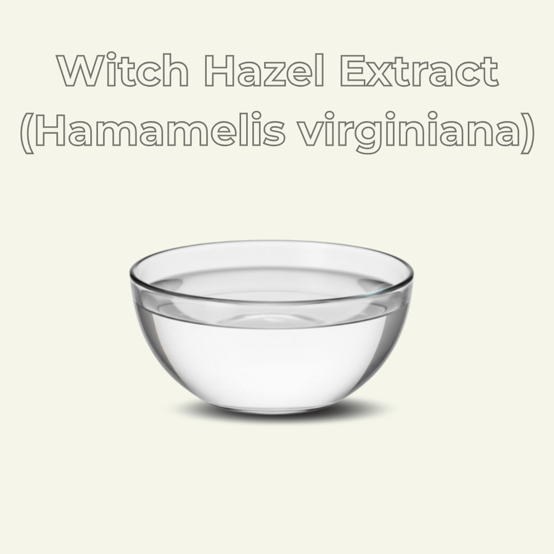 Witch Hazel Extract (Hamamelis Virginiana )