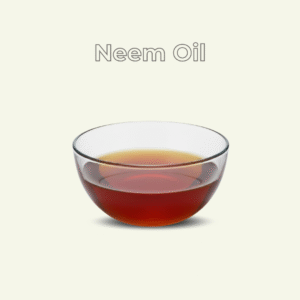 Neem OIL