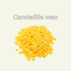 Candelilla Wax (Euphorbia cerifera)
